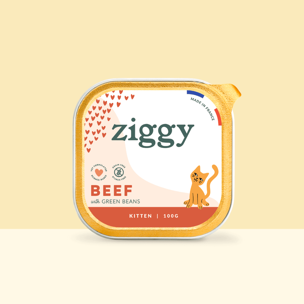 Barquette de 100g de pâtées Ziggy pour chaton au boeuf, saines et sans céréales