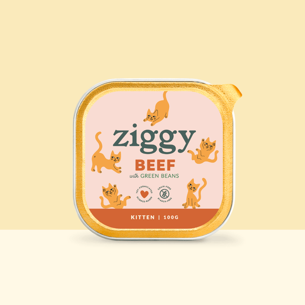 Barquette de 100g de pâtées Ziggy pour chaton au boeuf, saines et sans céréales