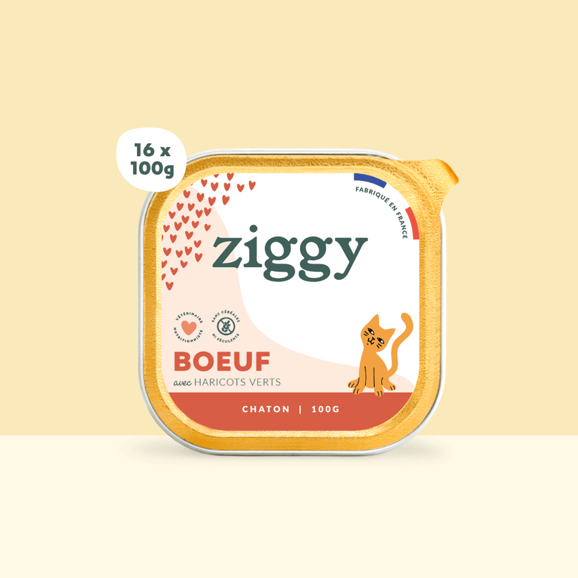 Barquette de 100g pâtée pour chaton au Boeuf Ziggy