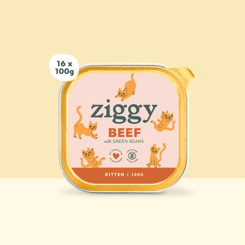 100g tray of Ziggy kitten wet food with beef, healthy and grain-free