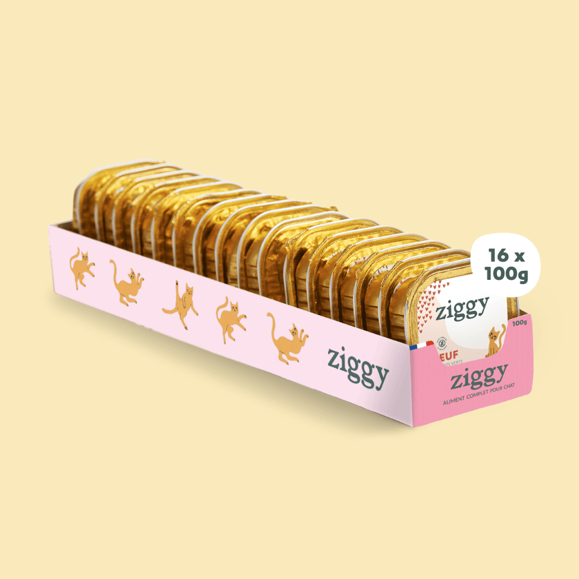 Lot de 16 pâtées de 100g Ziggy pour chaton au boeuf, saines et sans céréales