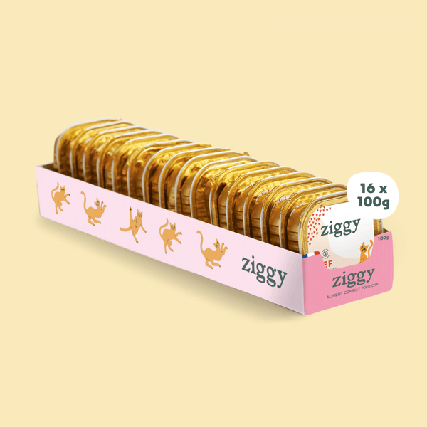 Barquette de 100g de pâtées Ziggy pour chaton au boeuf, saines et sans céréales