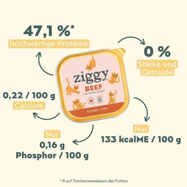 Composition de la pâtée pour chaton Ziggy au boeuf, saine et sans amidon