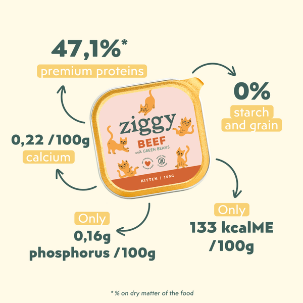 Composition de la pâtée pour chaton Ziggy au boeuf, saine et sans amidon