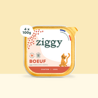 Barquette de 100g de pâtées Ziggy pour chaton au boeuf, saines et sans céréales