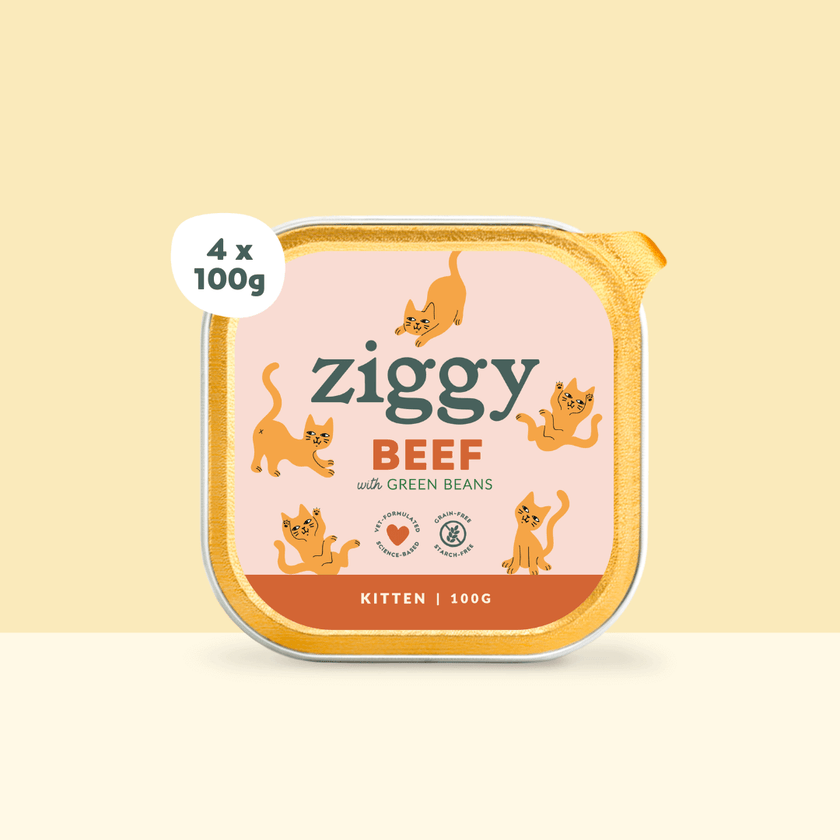 Ziggy Rind-Nassfutter für Kätzchen, 4×100g – 1er-Packung