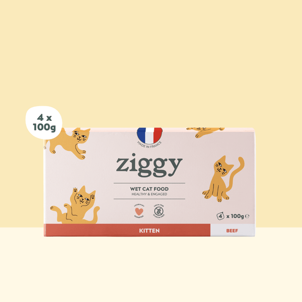 Barquette de 100g de pâtées Ziggy pour chaton au boeuf, saines et sans céréales