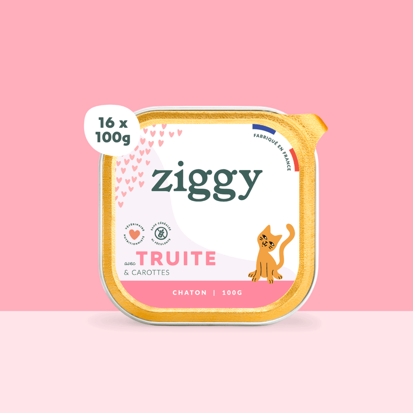 Barquette de pâtée pour chaton à la truite Ziggy