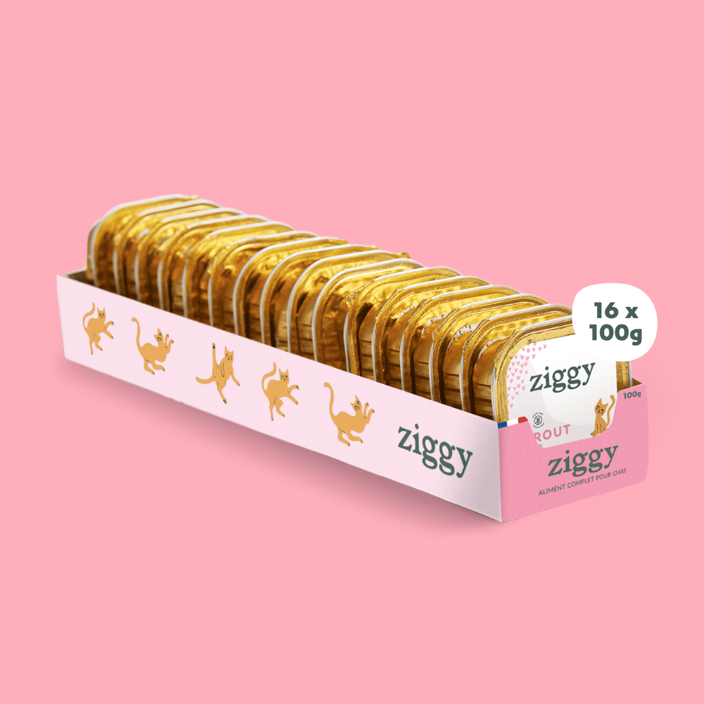 Barquette de 100g de pâtées Ziggy pour chaton à la truite, saines et sans céréales
