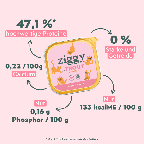Ingrédients de la pâtée pour chaton Ziggy à la truite, saine et sans amidon