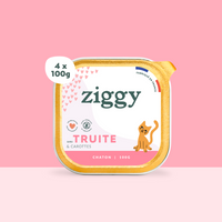 Barquette de 100g de pâtées Ziggy pour chaton à la truite, saines et sans céréales