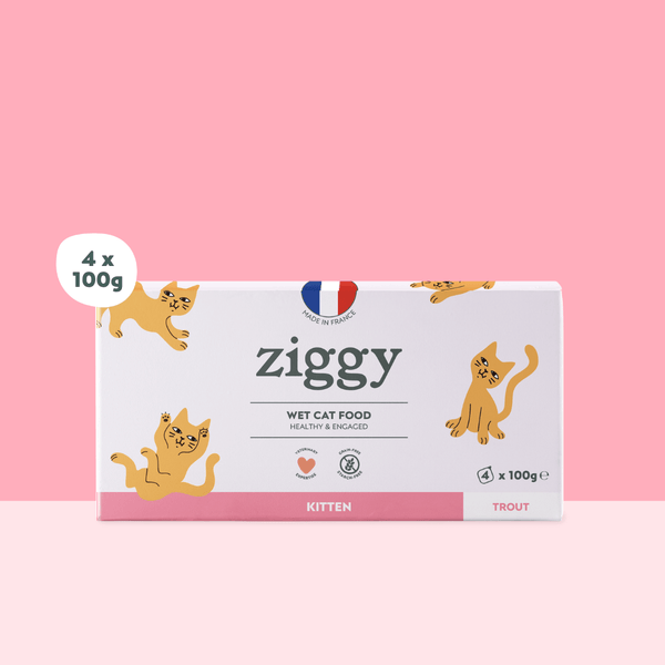 Barquette de 100g de pâtées Ziggy pour chaton à la truite, saines et sans céréales