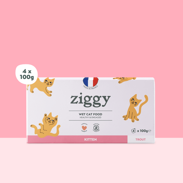 Barquette de 100g de pâtées Ziggy pour chaton à la truite, saines et sans céréales