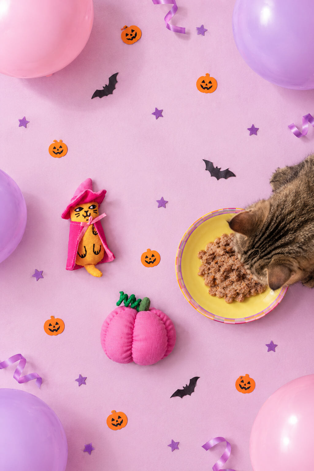 Vue du dessus des peluches sorcière et citrouille Ziggy à la cataire, avec un chat qui s’approche