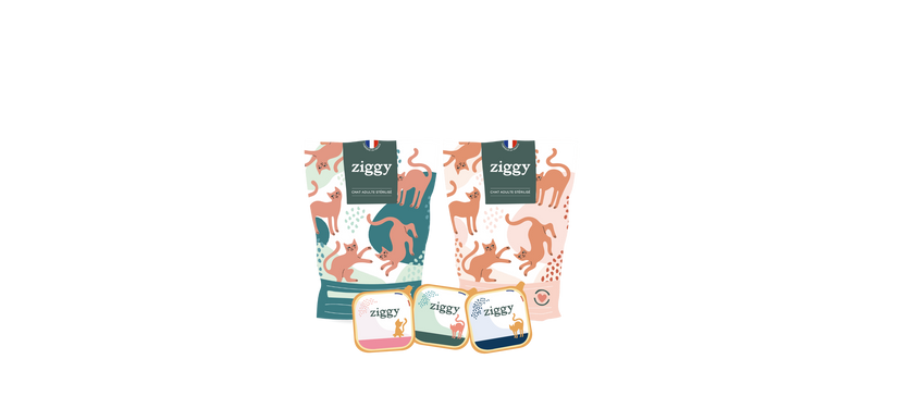 Illustration des croquettes et pâtées pour chat et chaton Ziggy, saines et sans céréales