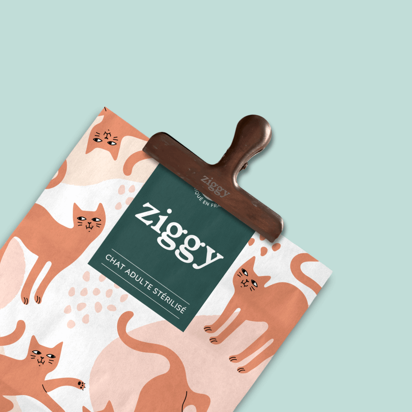 Pince de fermeture à sachet de croquettes pour chat Ziggy