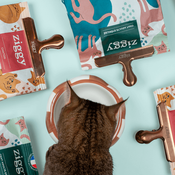 Chat entouré de paquets de croquettes pour chat Ziggy qui sont fermés avec des pinces à sachet de croquettes