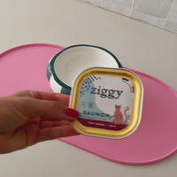 Ouverture des pâtées pour chat senior Ziggy