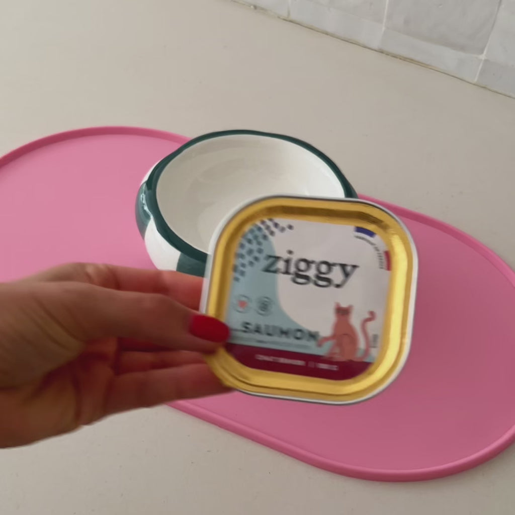 Ouverture des pâtées pour chat senior Ziggy