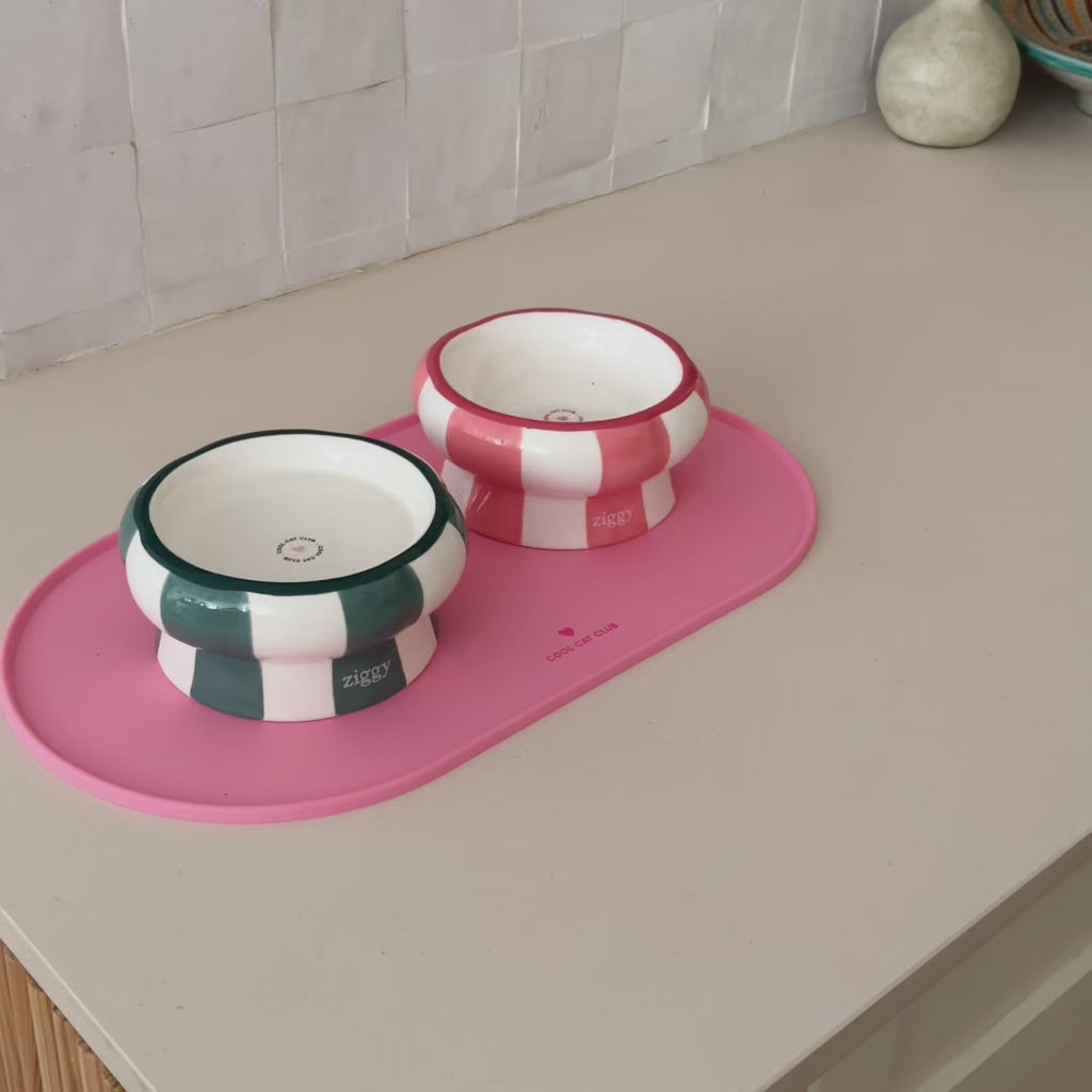 Ouverture des croquettes pour chaton Ziggy