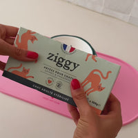 Ouverture des pâtées pour chat adulte stérilisé Ziggy