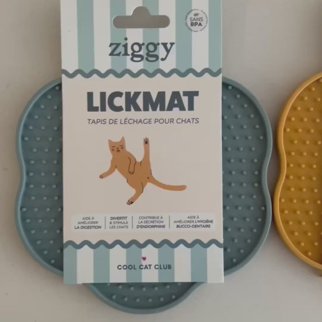 Vidéo de présentation des tapis de léchage anti-glouton pour chat Ziggy
