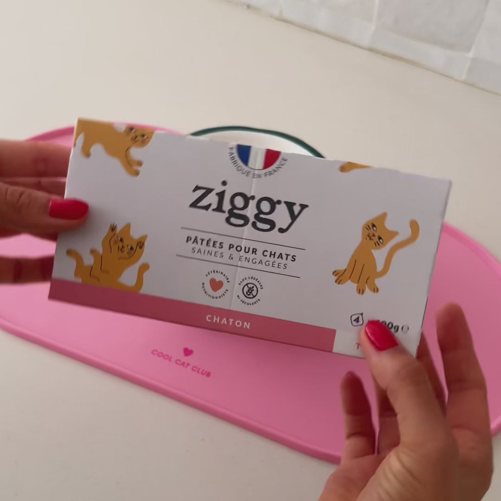 Ouverture des pâtées pour chaton Ziggy