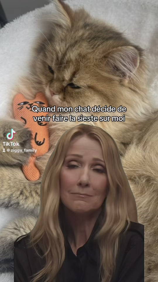 J'suis tellement contente - Céline Dion x Ziggy
