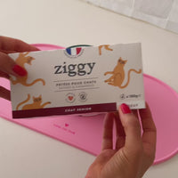 Ouverture des pâtées pour chat senior Ziggy
