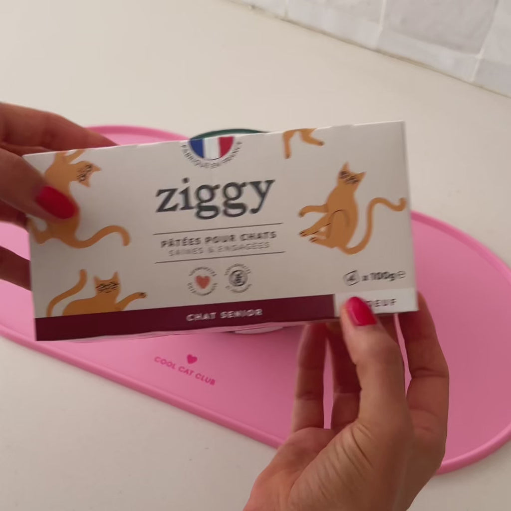 Ouverture des pâtées pour chat senior Ziggy