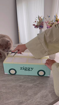 Unboxing commande Ziggy, croquettes et pâtées pour chat livrées à domicile