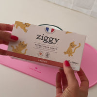 Ouverture des pâtées pour chaton Ziggy