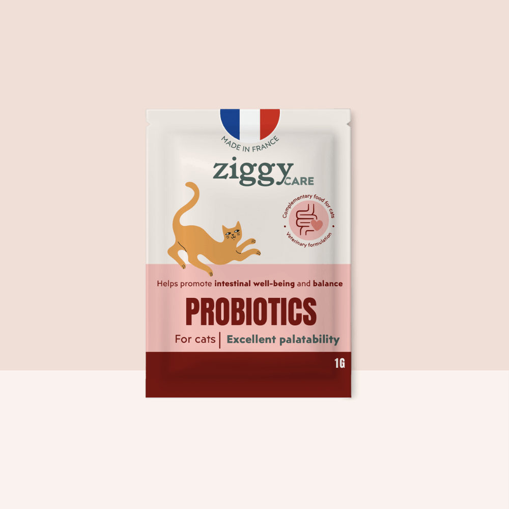 1 sachet de probiotiques de 1g Ziggy pour chat et chaton qui améliorent la digestion chez le chat
