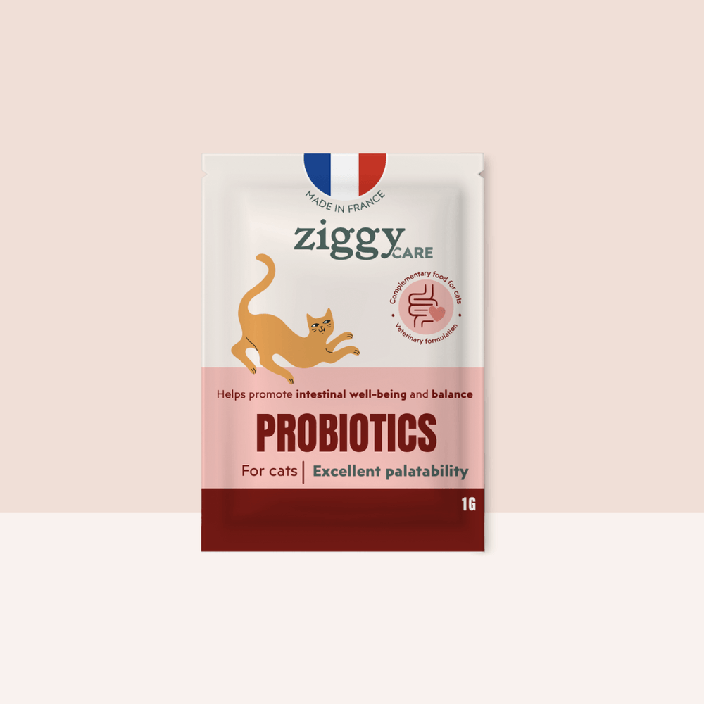 1 sachet de probiotiques de 1g Ziggy pour chat et chaton qui améliorent la digestion chez le chat