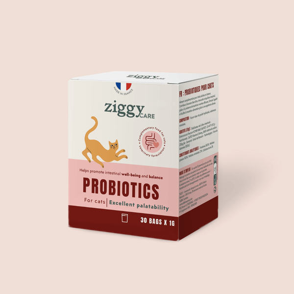 1 sachet de probiotiques de 1g Ziggy pour chat et chaton qui améliorent la digestion chez le chat