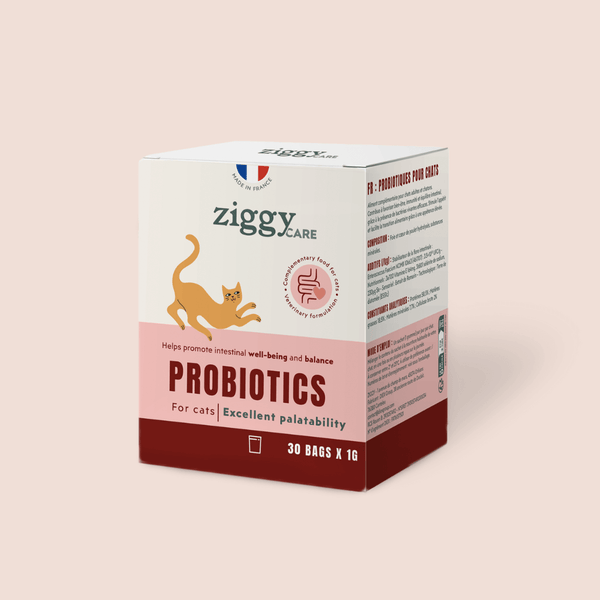1 sachet de probiotiques de 1g Ziggy pour chat et chaton qui améliorent la digestion chez le chat