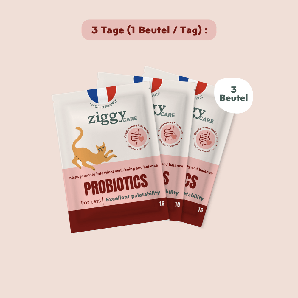 1 sachet de probiotiques de 1g Ziggy pour chat et chaton qui améliorent la digestion chez le chat