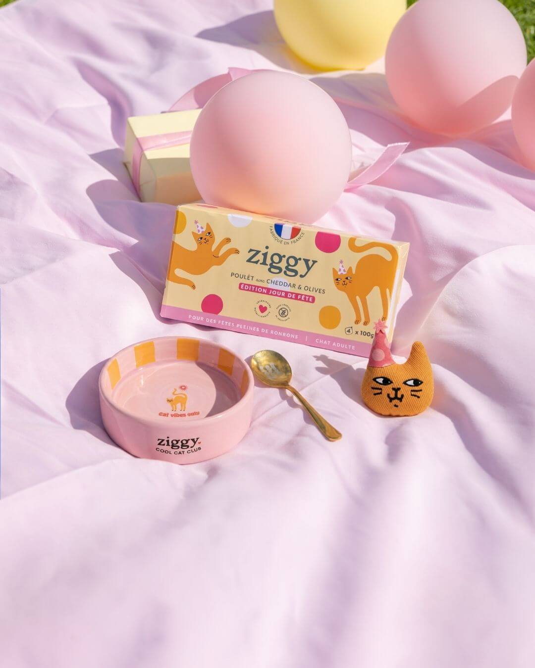 Composition du coffret jour de fête pour chat adulte Ziggy