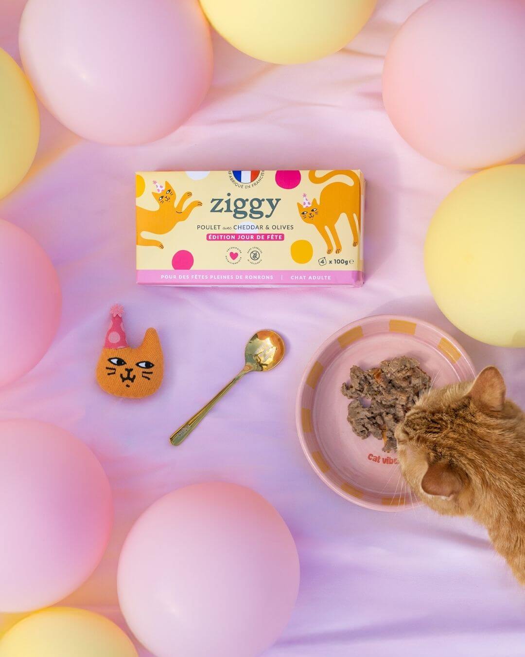 Composition du coffret jour de fête pour chat adulte Ziggy