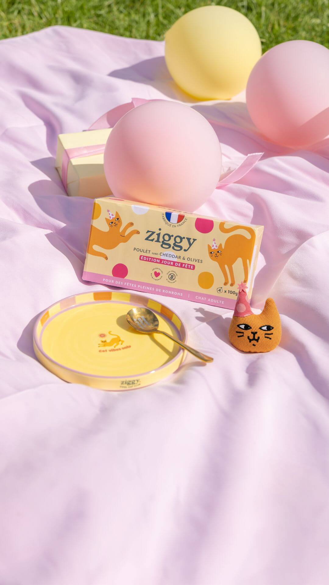 Coffret Jour de Fête Ziggy - visuel produit officiel édition limitée