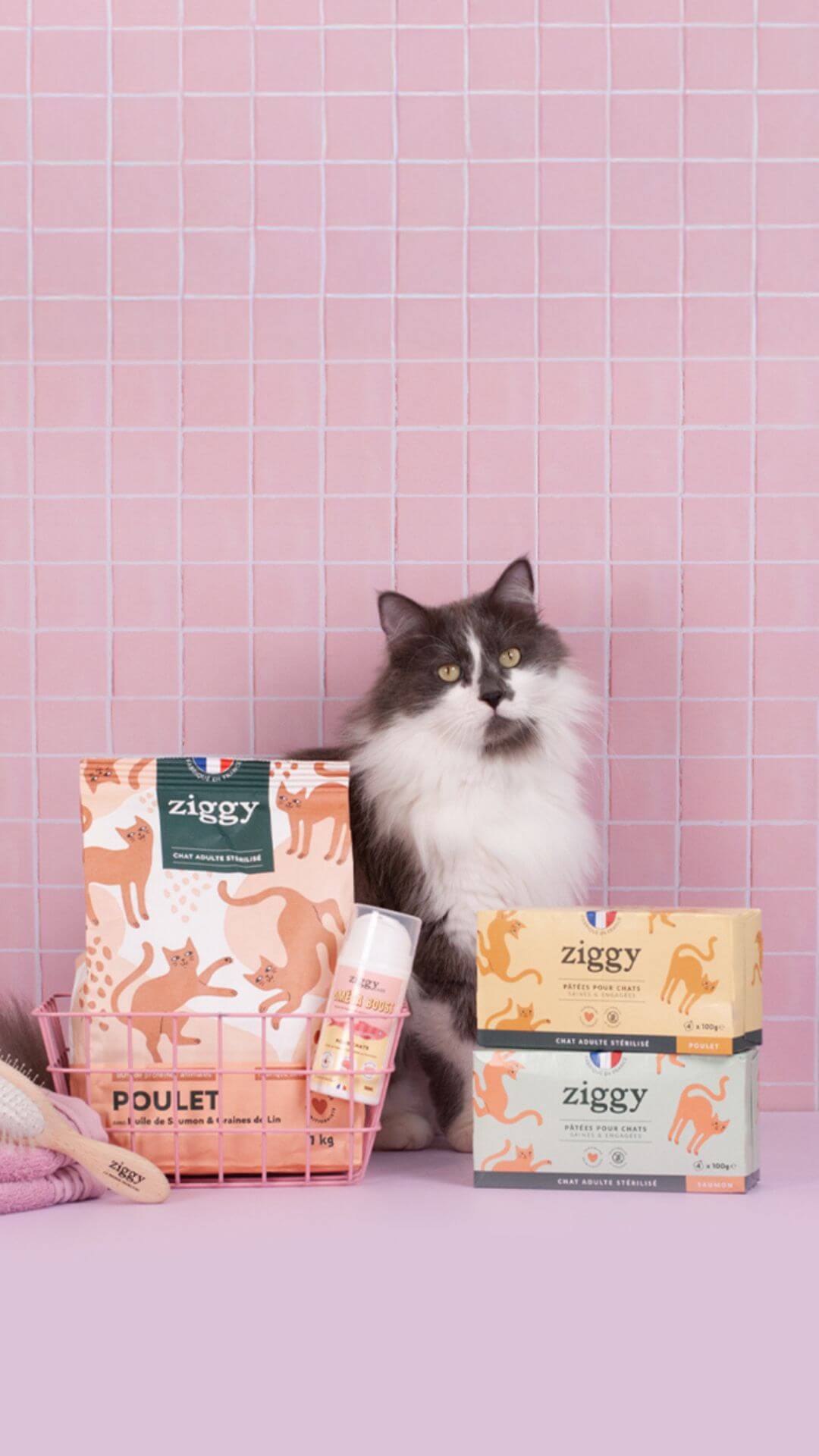 Coffret Ziggy Stérilisé Poulet, photo produit sur fond rose