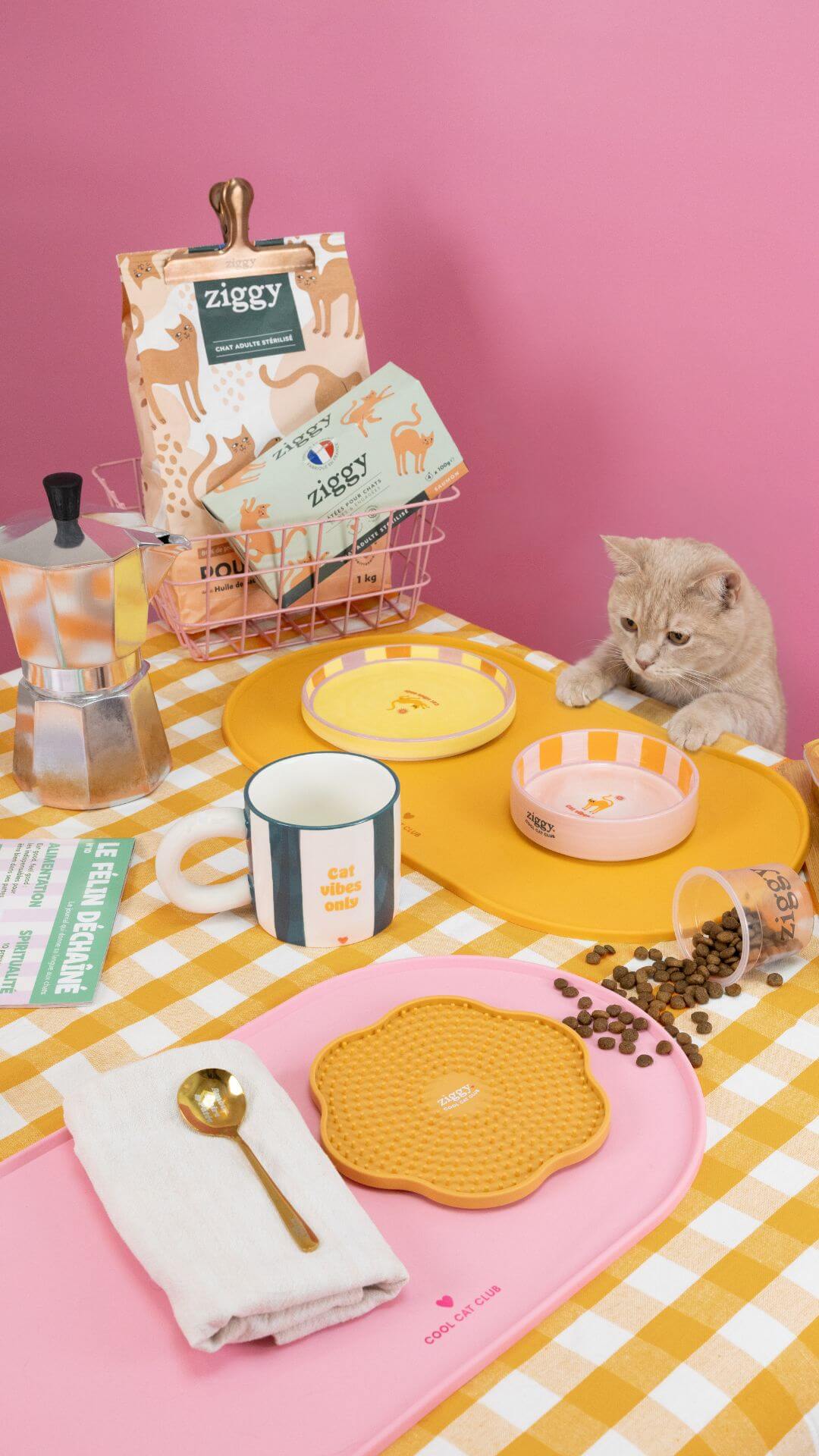 Coffret Ziggy Stérilisé Poulet, packaging sur fond à motif jaune