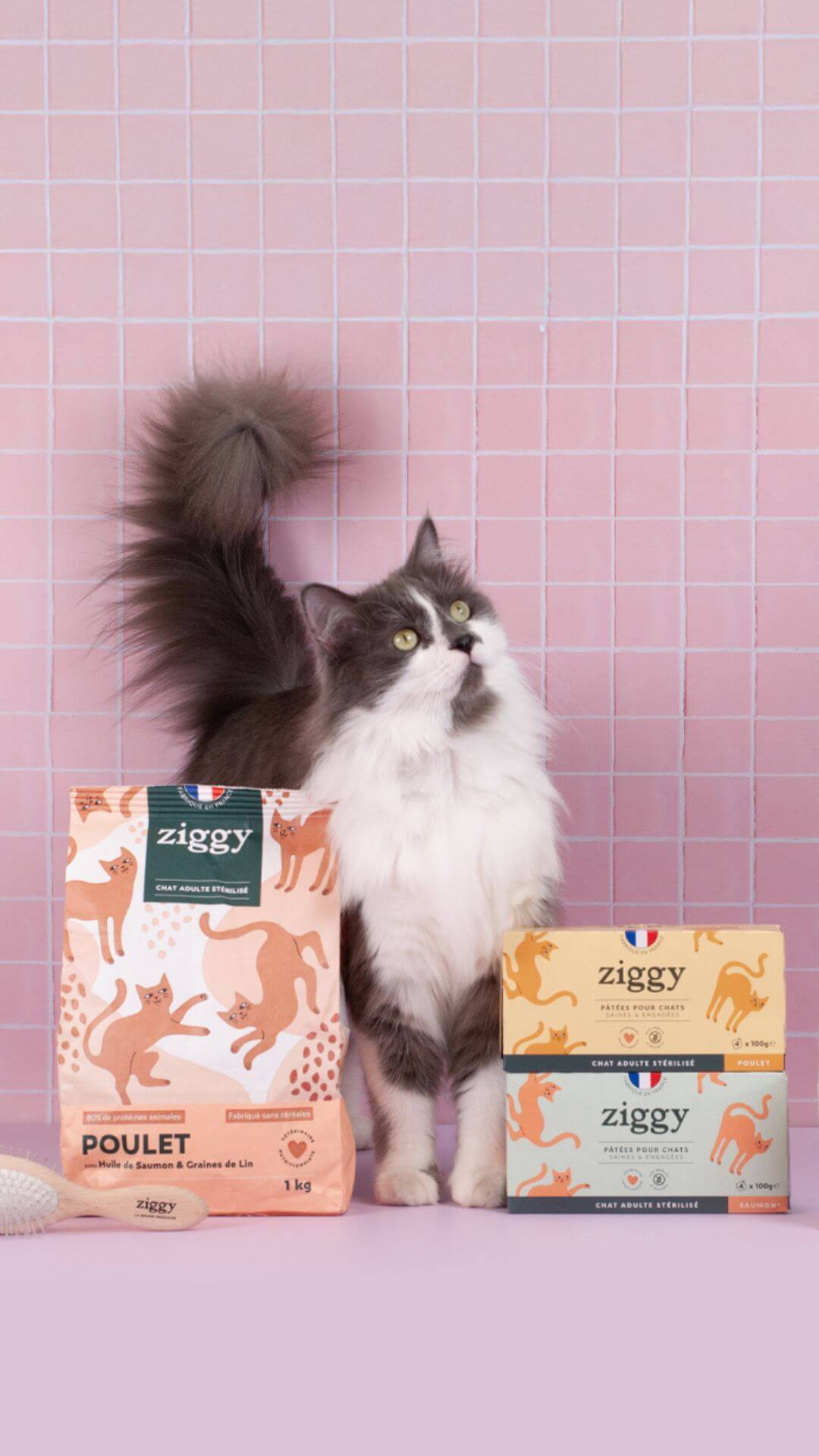 Coffret Ziggy Stérilisé Poulet, mise en situation avec un chat