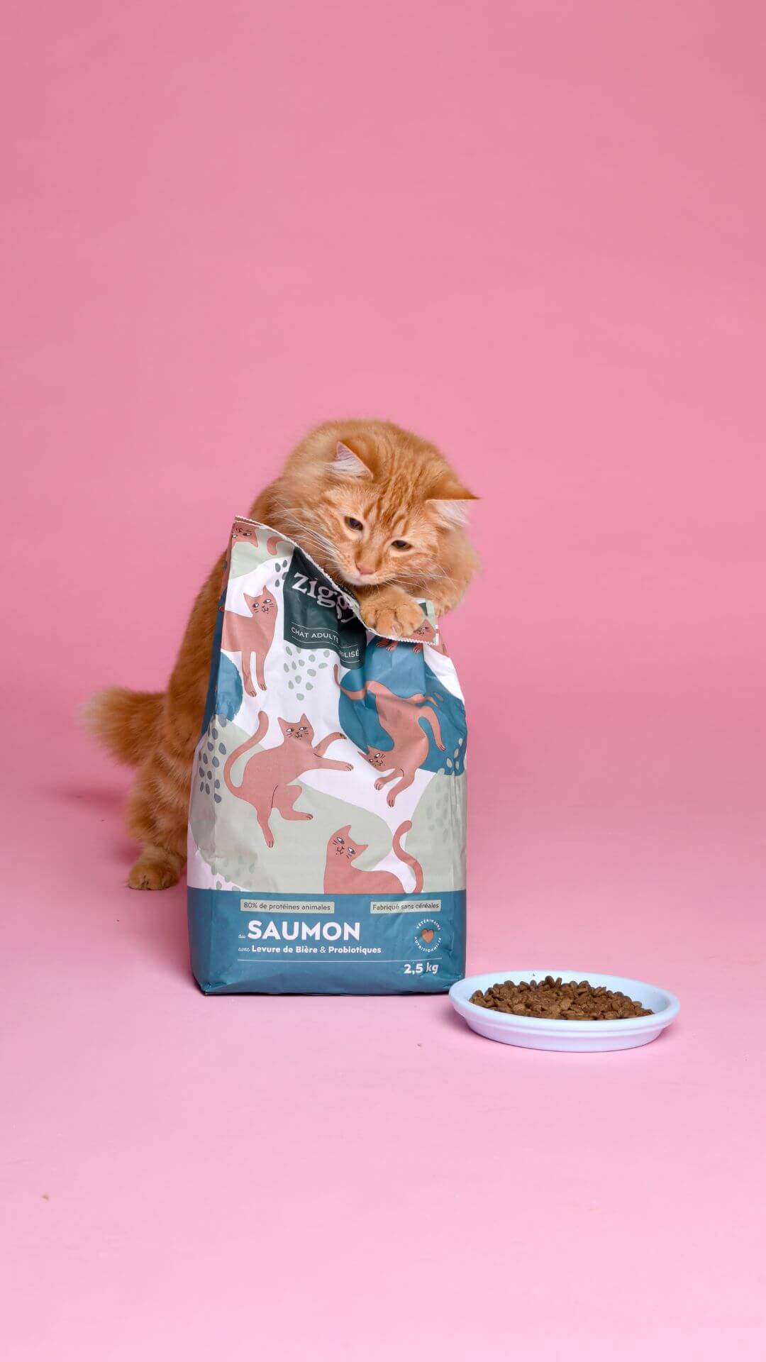 Croquettes Ziggy Stérilisé Saumon sans céréales, mise en scène avec plante