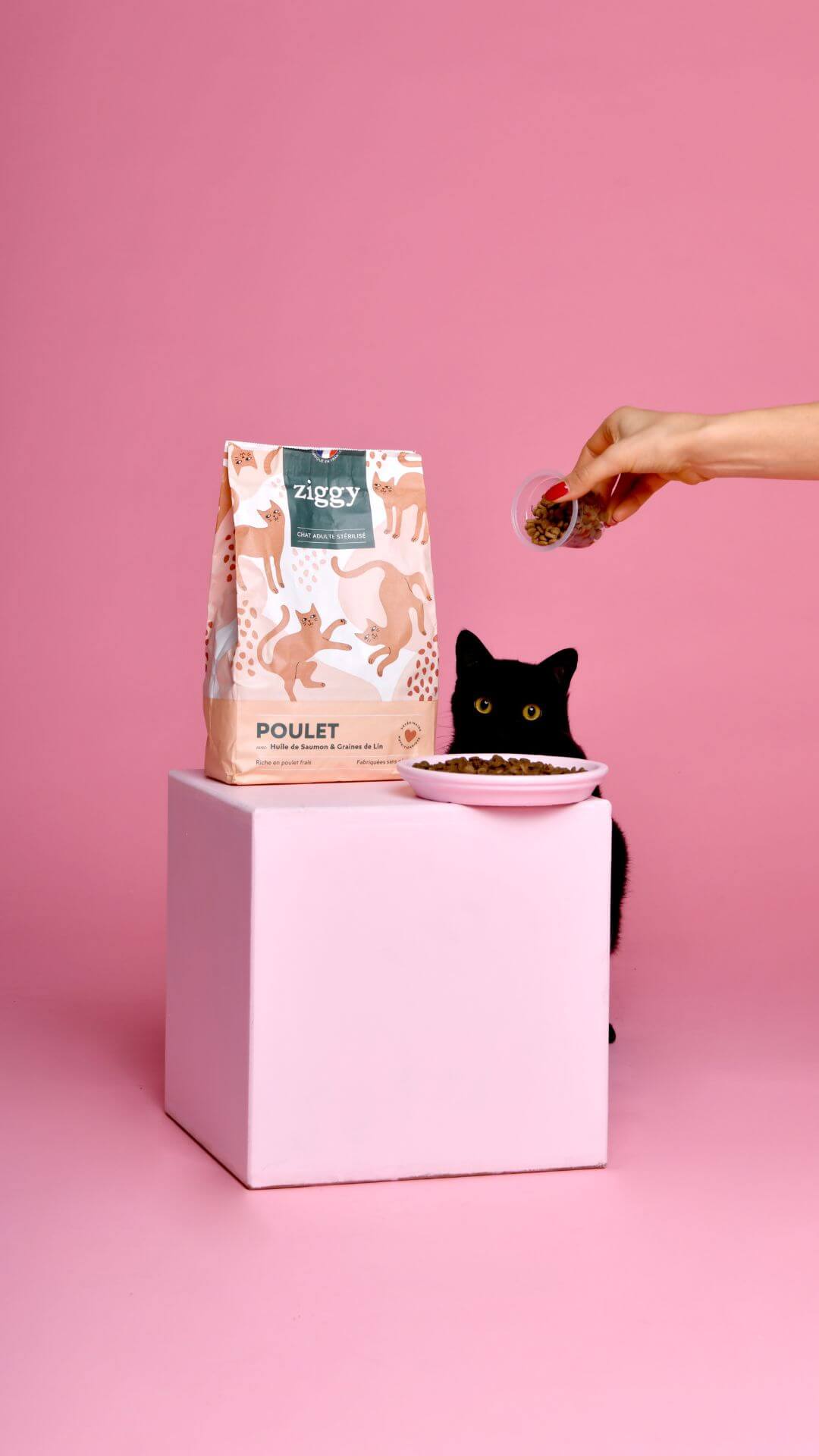 Croquettes Ziggy Stérilisé Poulet sans céréales, main attrapant le paquet sur socle rose