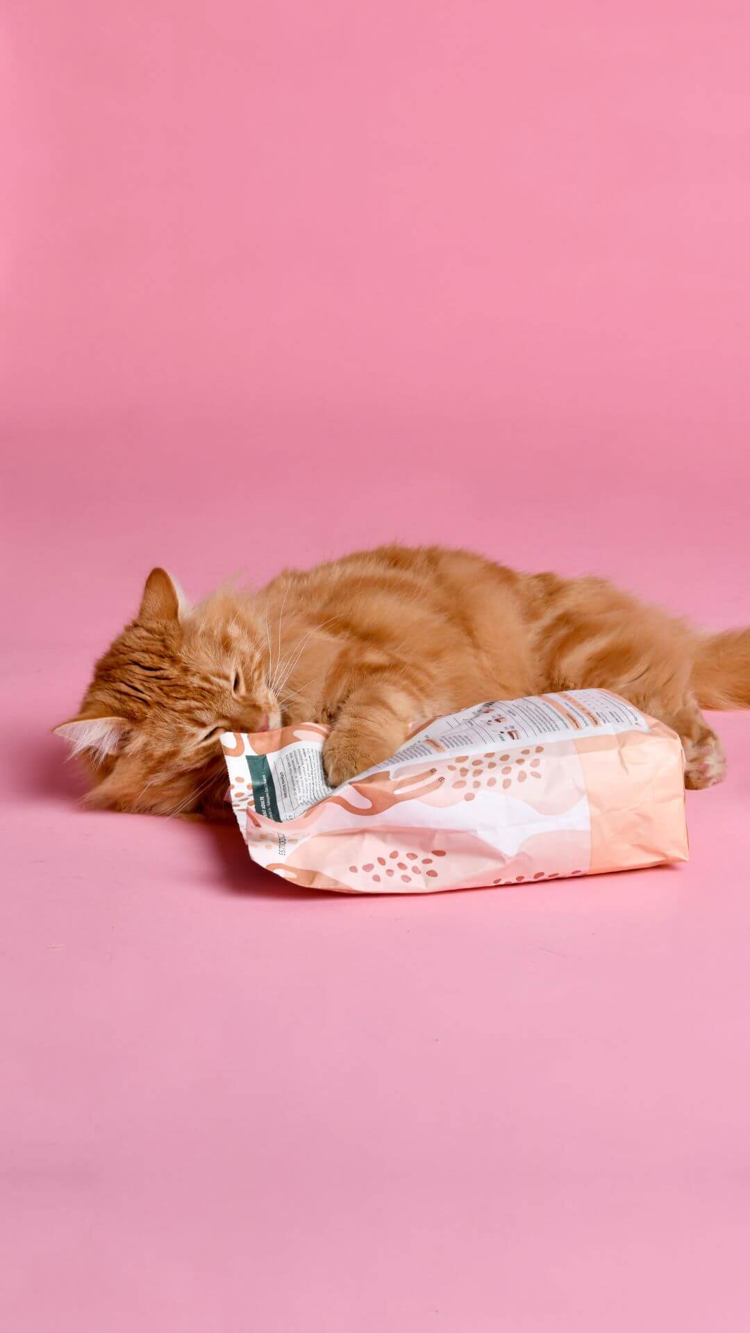 Croquettes Ziggy Stérilisé Poulet sans céréales, chat roux allongé sur fond rose