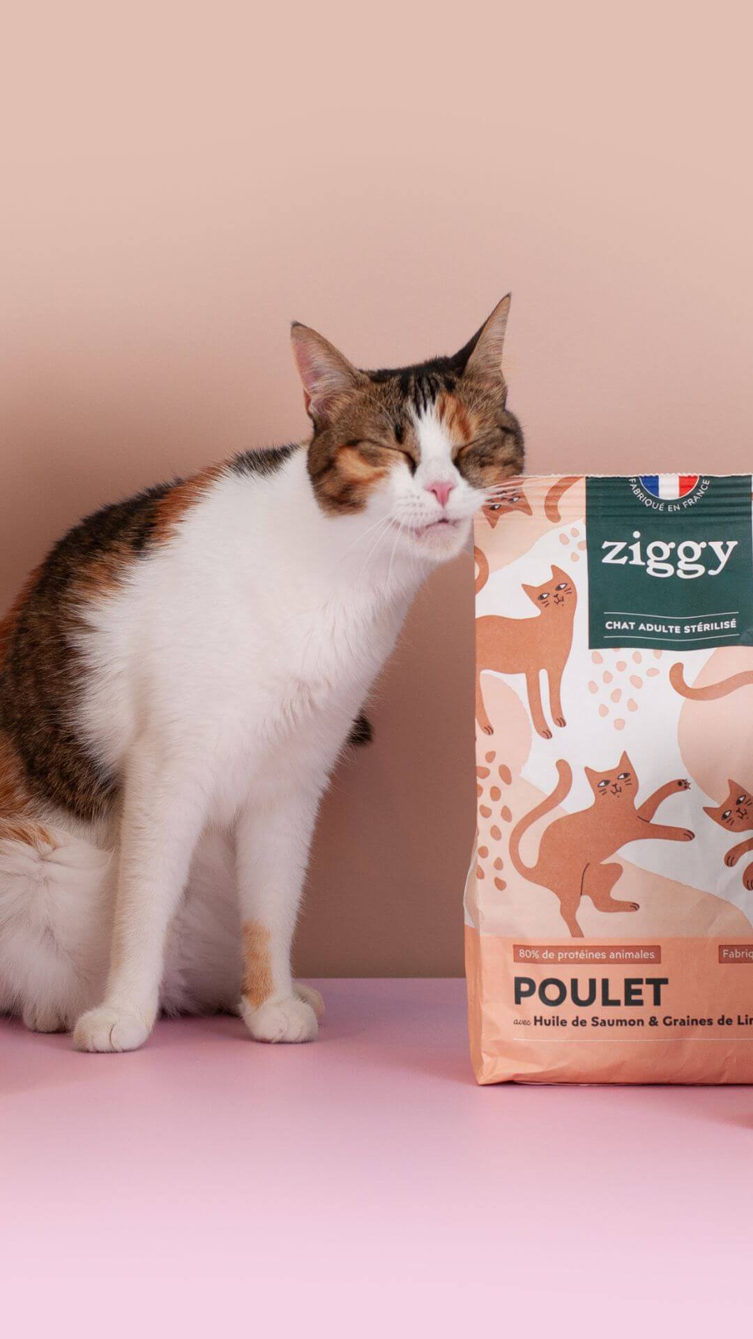 Croquettes Ziggy Stérilisé Poulet sans céréales, chat blanc debout à côté du paquet
