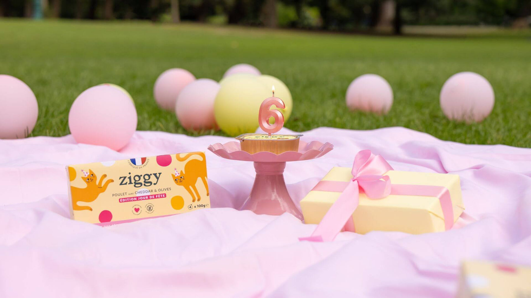 Coffret Jour de Fête Ziggy - édition limitée célébration 6 ans Ziggy Family