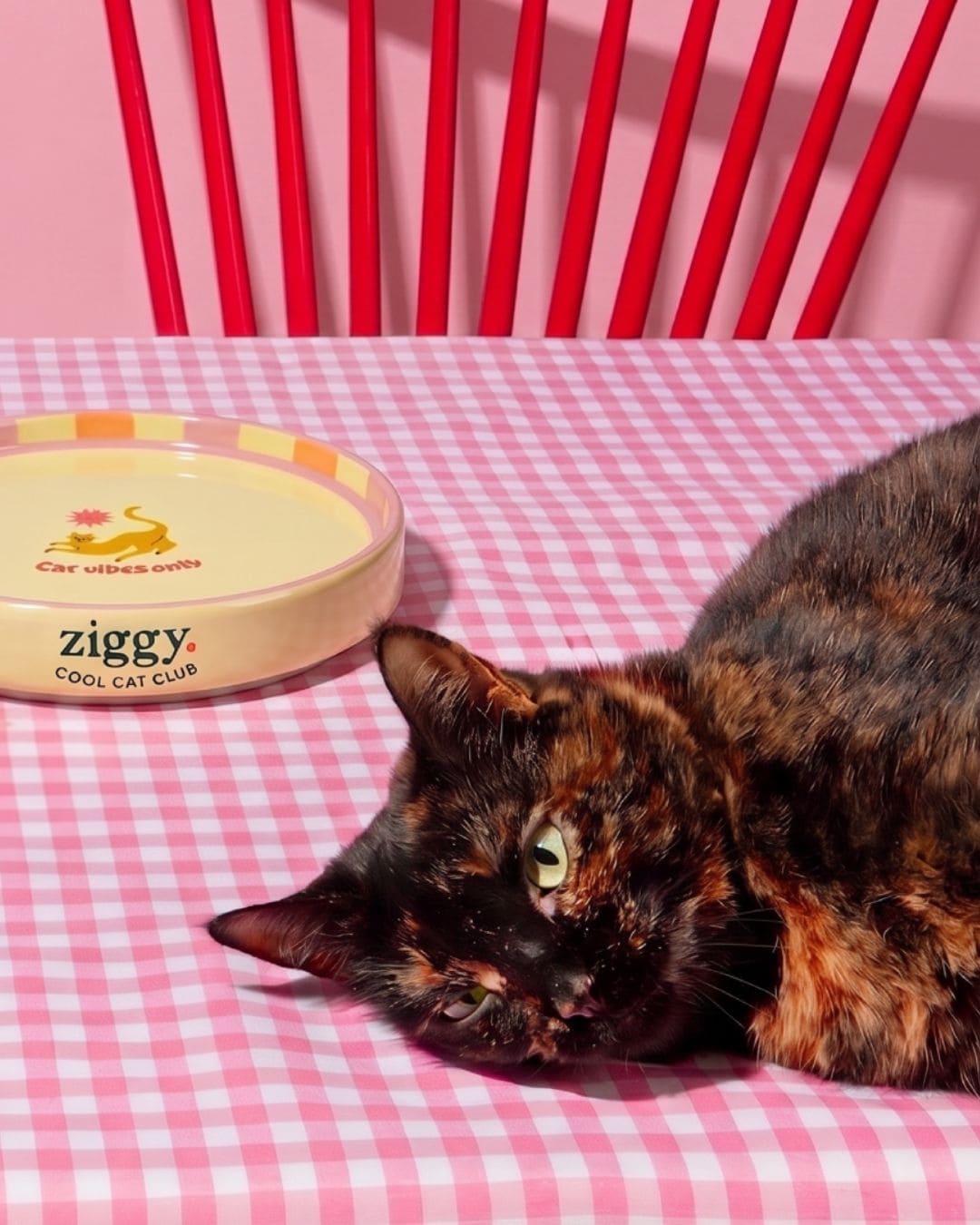 Pâtée Ziggy Diabète, photo produit vue de face