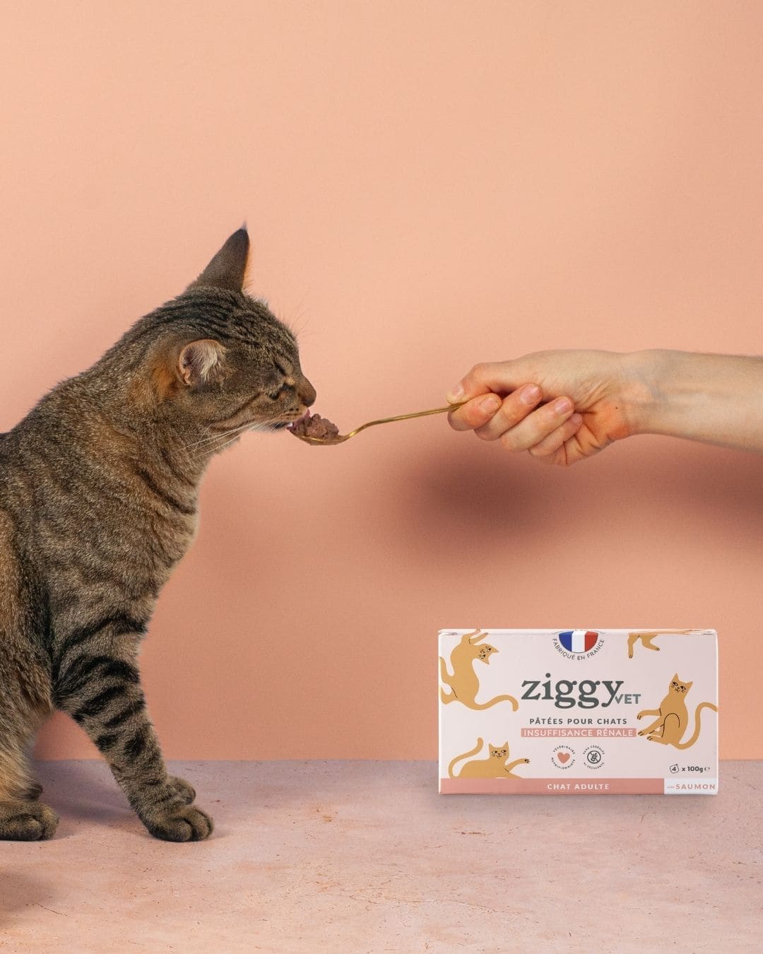 Pâtée Ziggy Rénal, vue de l'intérieur du produit